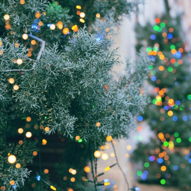 Sokaktaki Noel ağacı renkli çelenklerle süslenmiş.