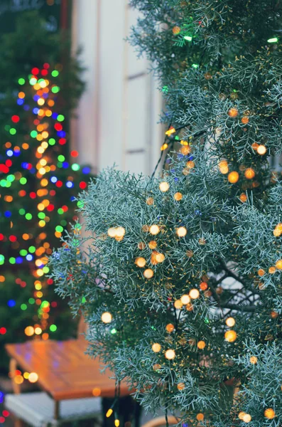 Árvore de Natal na rua decorada com tampa de guirlanda colorida — Fotografia de Stock