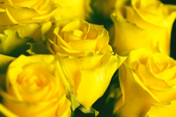 Bukiet pięknych żółtych róż zbliżyć na ciemnym tle. A — Zdjęcie stockowe