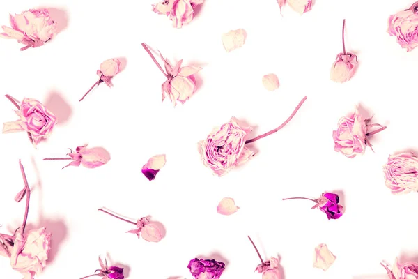 Composição da flor feita de botões de rosa seca no fundo branco . — Fotografia de Stock
