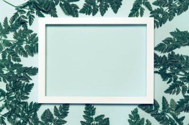 Yeşil yapraklı soyut kompozisyon ve pastel arka planda beyaz çerçeve. Yaratıcı doğa düzeni. Yaz kavramı. Düz yatıyordu. Boşluğu kopyala
