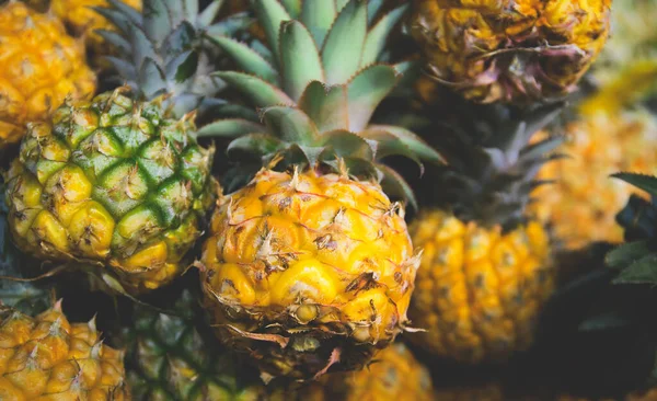 Verse Ananas Close Fruitmarkt Heldere Kleurrijke Zomer Achtergrond — Stockfoto