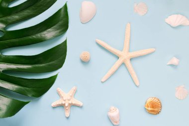 Pastel arka planda canavar yaprağı, deniz yıldızı ve deniz kabuğu içeren yaz kompozisyonu. Tatil ve seyahat konsepti. Soyut arkaplan