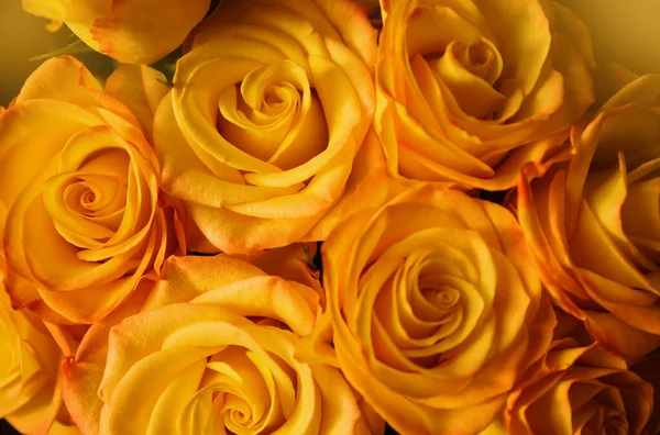 Bukiet Pięknych Żółtych Róż Bliska Streszczenie Tła Dla Kart Sezonowych — Zdjęcie stockowe
