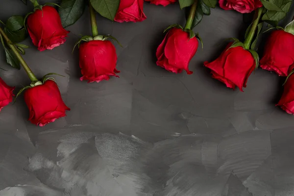 빨간 장미의 구성 — 스톡 사진