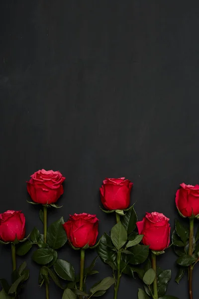 Состав красных роз — стоковое фото