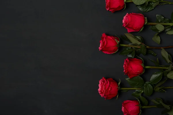 Состав красных роз — стоковое фото