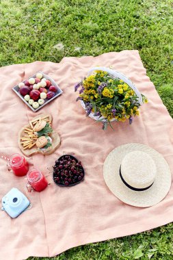 Çimenlerin üzerinde Parkta piknik 