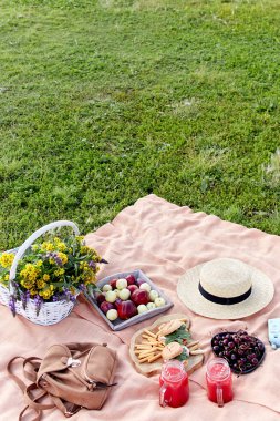 Çimenlerin üzerinde Parkta piknik 