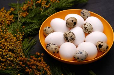 Close up of easter chicken and quail eggs in dish with mimosa flowers on wooden background clipart