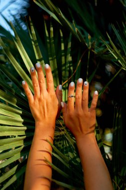 Arka plan avuç içi yaprak üzerinde eller. Yaz ruh hali.