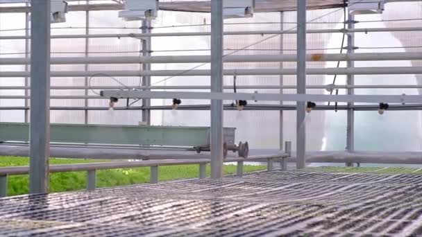 Zavlažovací systém ve skleníku v akci. Hydroponický systém — Stock video