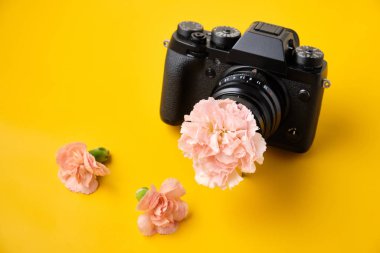 Fotoğraf makinesinden çiçek çıkar. Üzerinde çiçekler olan kamera.