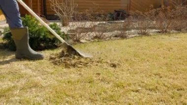 Çimleri tırmıkla temizliyorum. Çimleri havalandırmak ve süslemek.