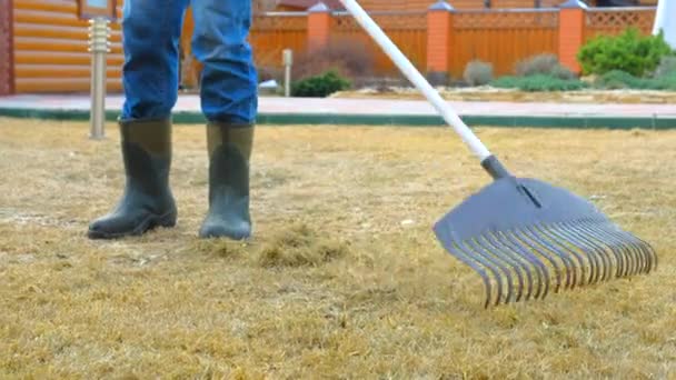 Uklízím trávu hráběmi. Aerating and scarifying the lawwn — Stock video