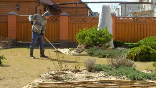 Städa upp gräset med en kratta. Luftning och markberedning av gräsmattan — Stockvideo