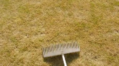 Çimleri tırmıkla temizliyorum. Çimleri havalandırmak ve süslemek.