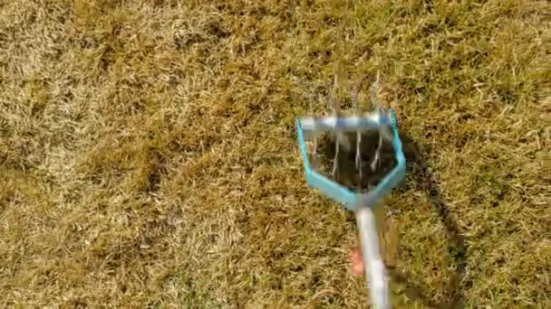 Manuell markering. Luftning och markberedning av gräsmattan i trädgården — Stockvideo