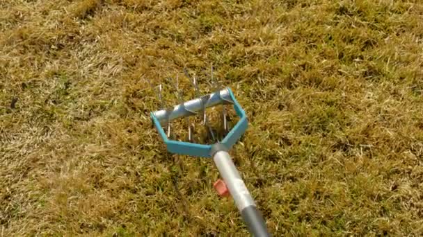 Ruční škrcení. Aerating and scarifying the lawwn in the garden — Stock video