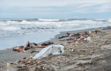 Sahilde bir sürü çöp kıyıya vurmuş.