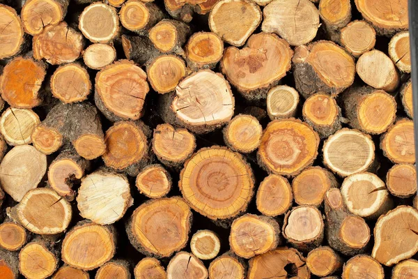 Boyutlanmış katlanmış günlükleri