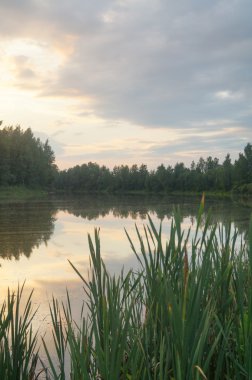Sonbahar kırsalında gölette