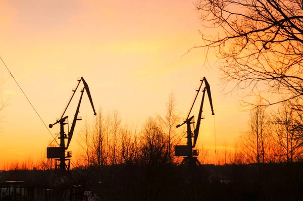 Siluetter Kranar Och Fartyget Vacker Solnedgång — Stockfoto