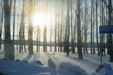Güneş ışınları kış orman yoluyla elde