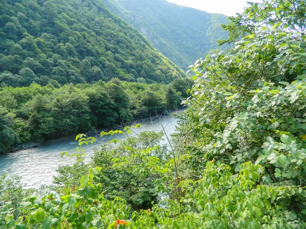 Dağlar yaz güzel manzara nehir