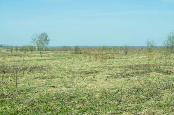 Paisaje de campo con hierba seca —  Fotos de Stock