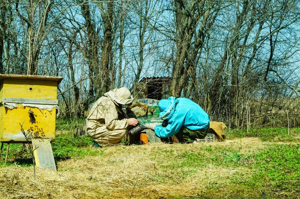 Drie Imkers Werken Een Bijenteelt Korf Zonnige Dag Drie Imkers — Stockfoto