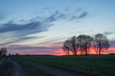 Sanat kırsal manzara