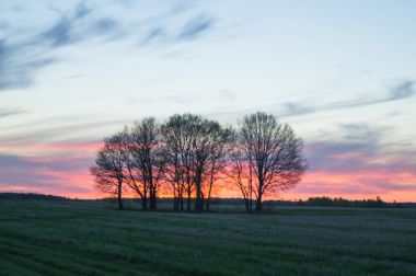Sanat kırsal manzara