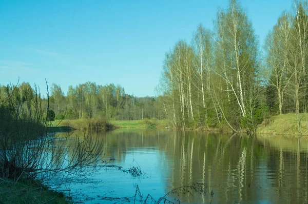 Večerní pohled z jezera s odrazem stromů ve vodě. — Stock fotografie