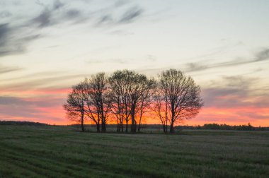 Sanat kırsal manzara