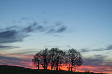 Sanat kırsal manzara