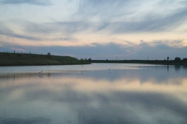 Sığ göl su bitkileri ile büyümüş