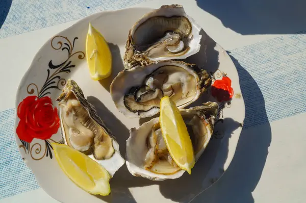 Opened oysters,with lemon on white plate — Stock Photo, Image