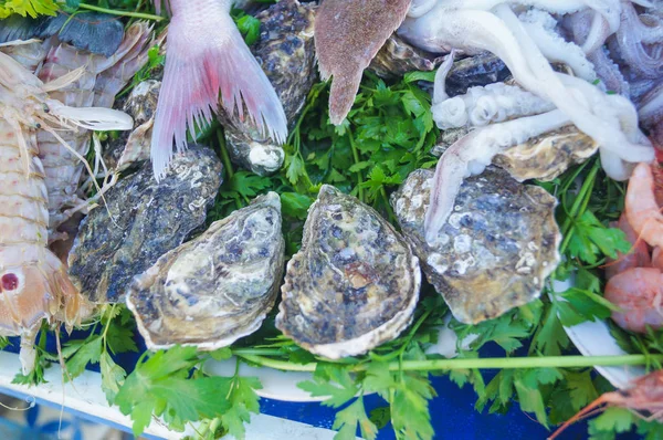 Ostras cerradas sobre hojas de lechuga — Foto de Stock