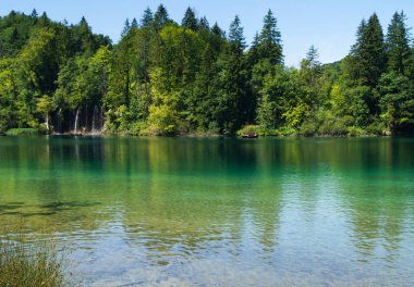 Güneşli bir günde Plitvice gölünde güzel mavi yeşil su.