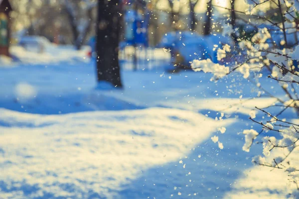 Снегопад в городском парке утром — стоковое фото