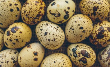 Bıldırcın yumurtası doğal bir yakın çekim zemin üzerine