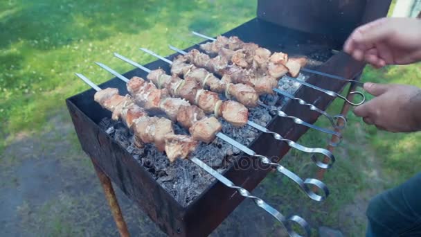 Shish Kebab Cooking Outdoors Summer — Stock Video