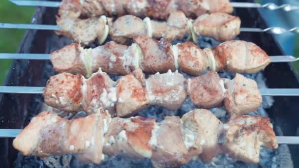 Shish Kebab Cocinar Aire Libre Verano — Vídeo de stock