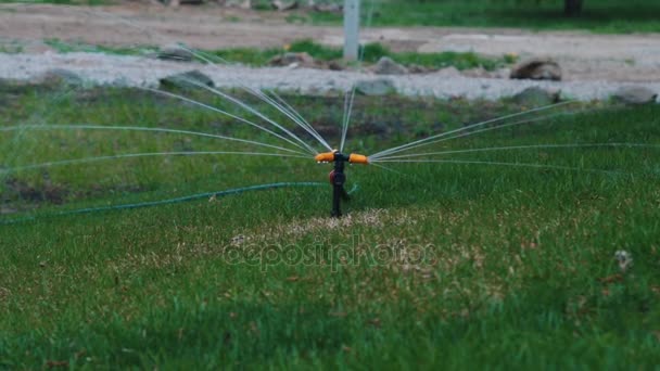 Πότισμα Πρώιμο Καλοκαίρι Γκαζόν — Αρχείο Βίντεο