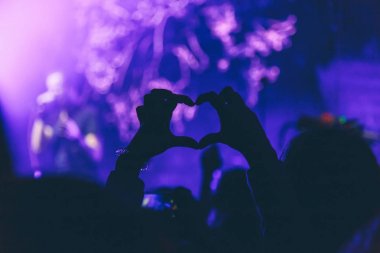 seyirciler bir konserde