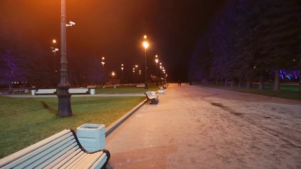 Persone Passeggiano Lungo Viali Del Parco Sera — Video Stock