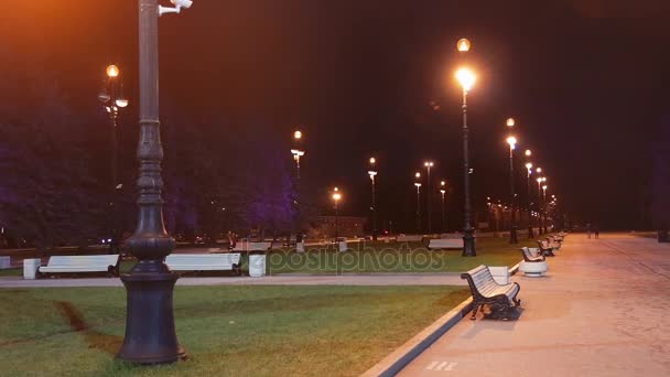 晚上人们沿着公园的林荫大道散步 — 图库视频影像