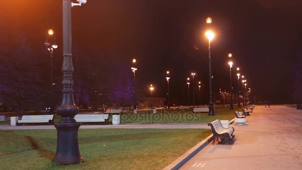 Mensen Lopen Langs Lanen Van Het Park Avond — Stockvideo