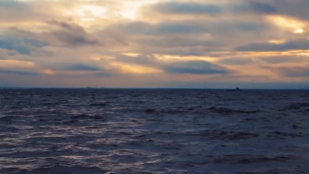 Waves Shores Baltic Sea — Stock Video